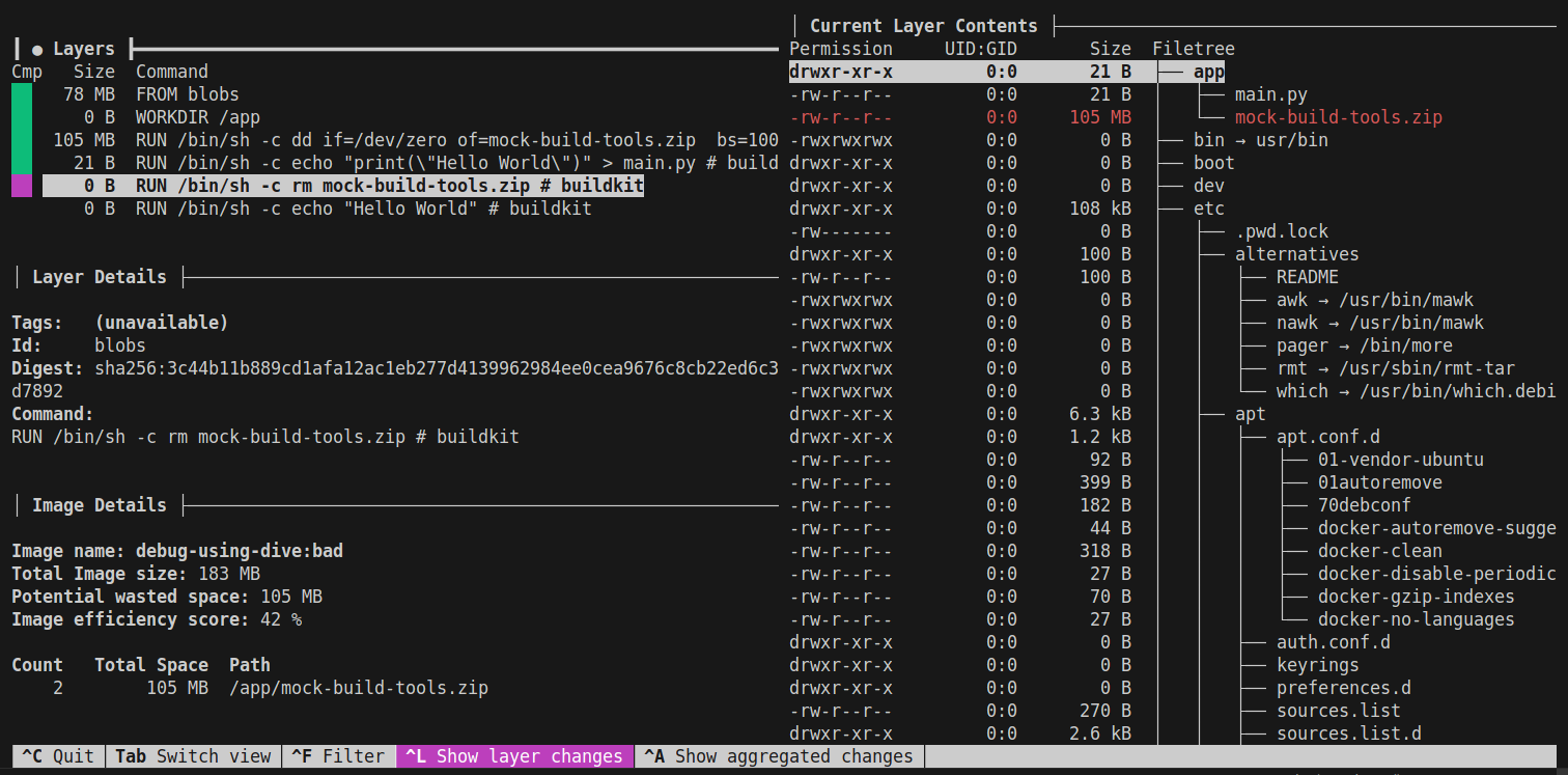 Image showing dive debugging a bad image