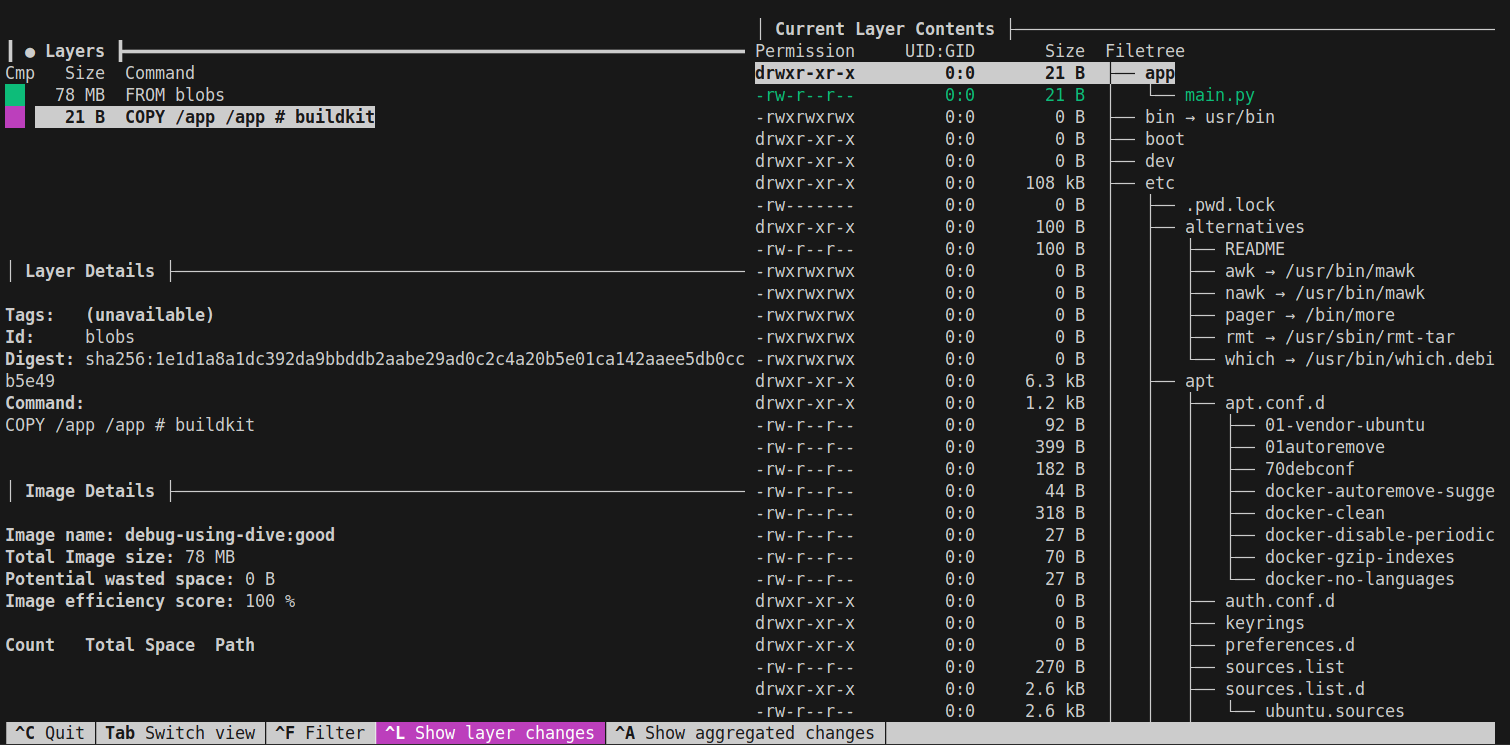 Image showing dive debugging a good image